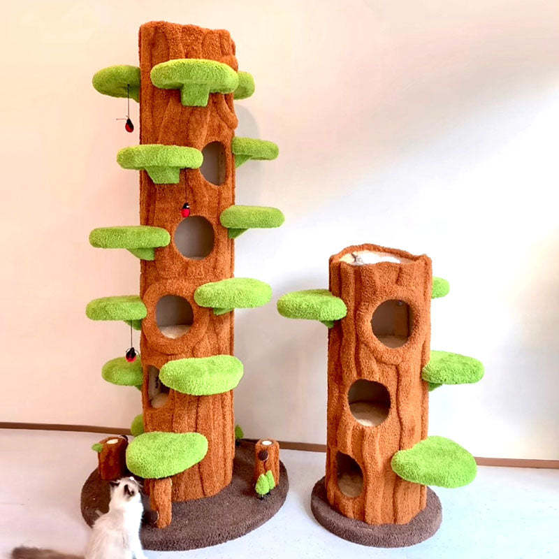 Clearance : Multi-Cat Climbing & Sleeping Haven